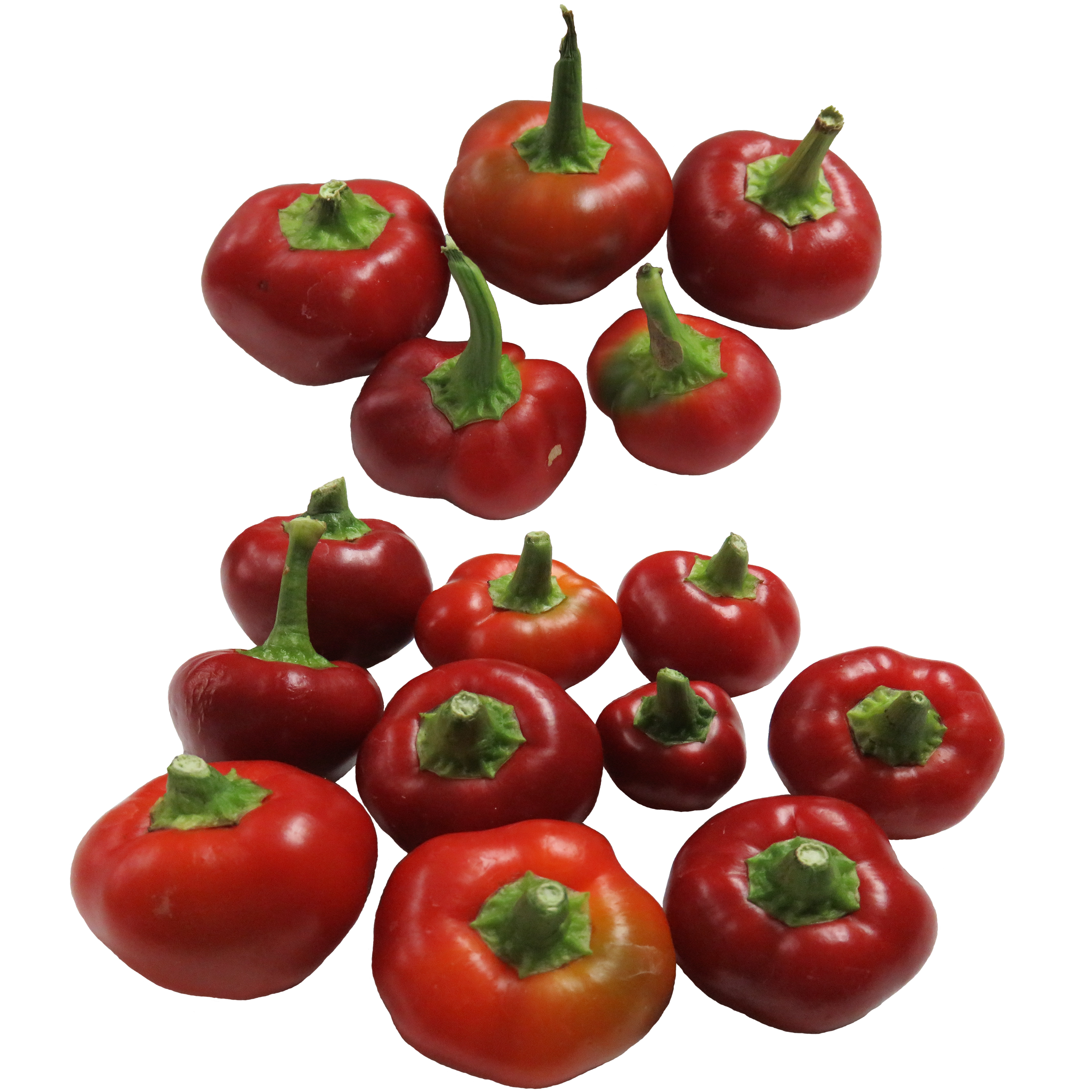 Cherry Peppers Top Image